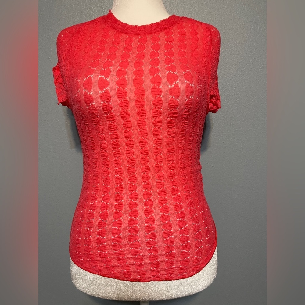 Free People Pink Sheer Top Textured Boho Romantic Cottagecore Festival S/P